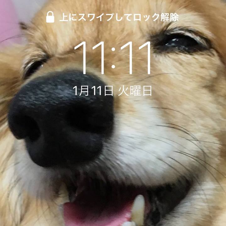 D12a718d d35c 4df9 b78e 5d57da0d2588 1641896148563