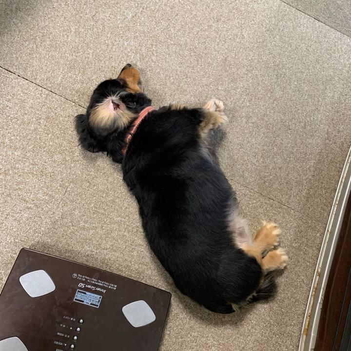 D12a95ed cfa5 496e b30c 564779173b85 1604699335029