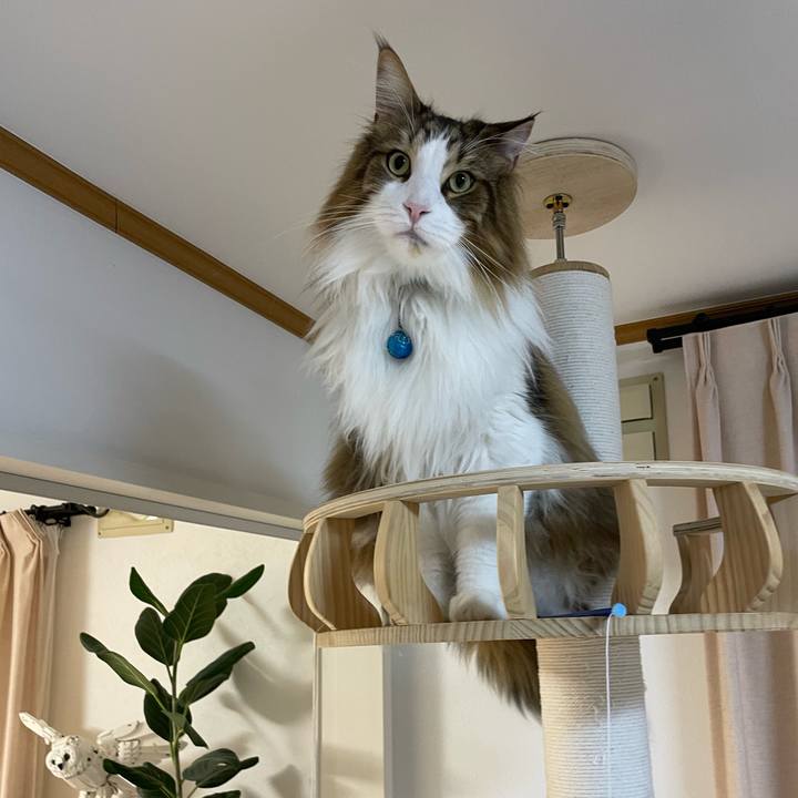 D12aa253 354c 4dc1 853d 192ec8706b60 1709839949490