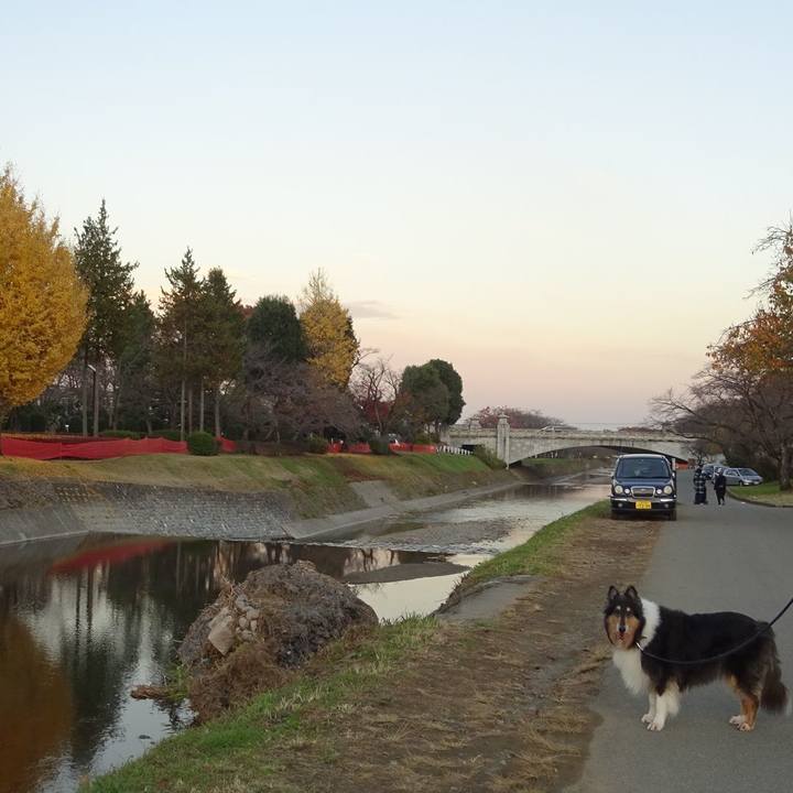 D12af4b0 320f 4ac4 bf2b 1e0340e44dbe 1575209292491