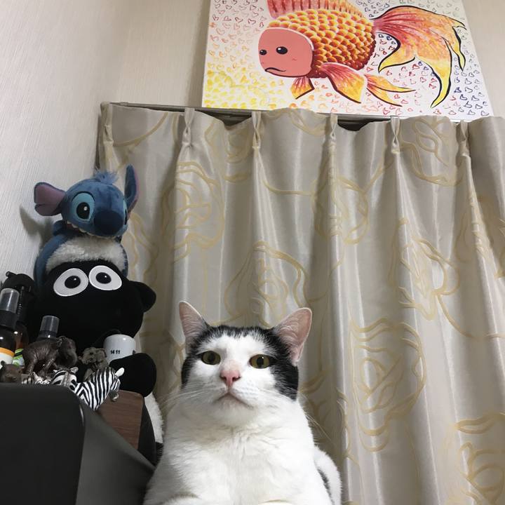 D12b126a 06d5 492e b0e2 e545ab6650a1 1528468107683