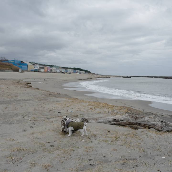 D12b15da 87a3 4e79 b8c1 0d04b6f8384a 1606607648386