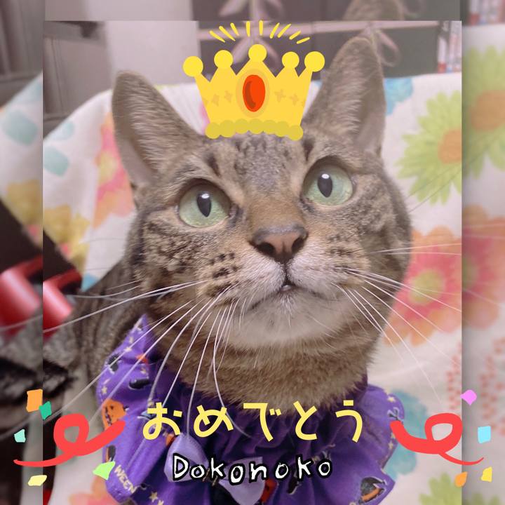 D12b394f 20f8 466e b81a 10105a5d7dc9 1685969909763