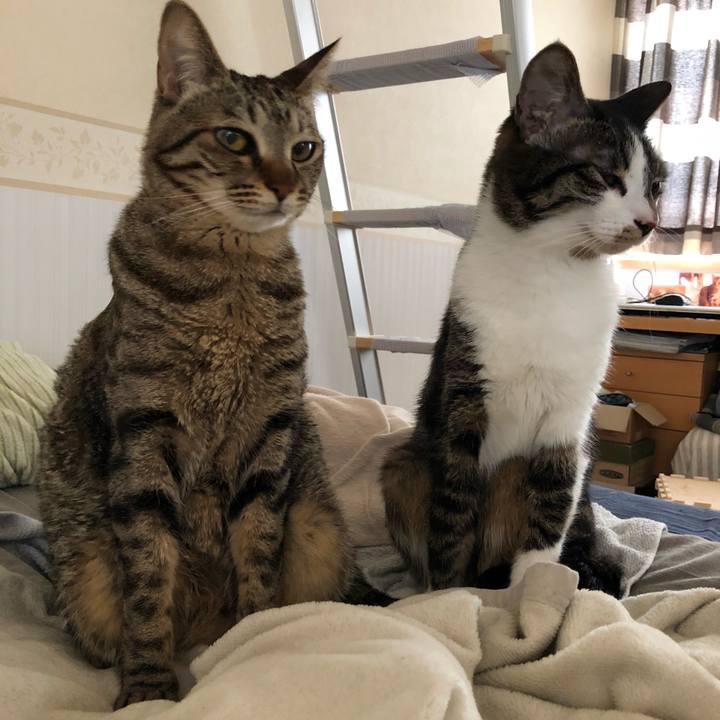 D12b7248 62b5 403e 94a6 13c33c55150e 1523867844997