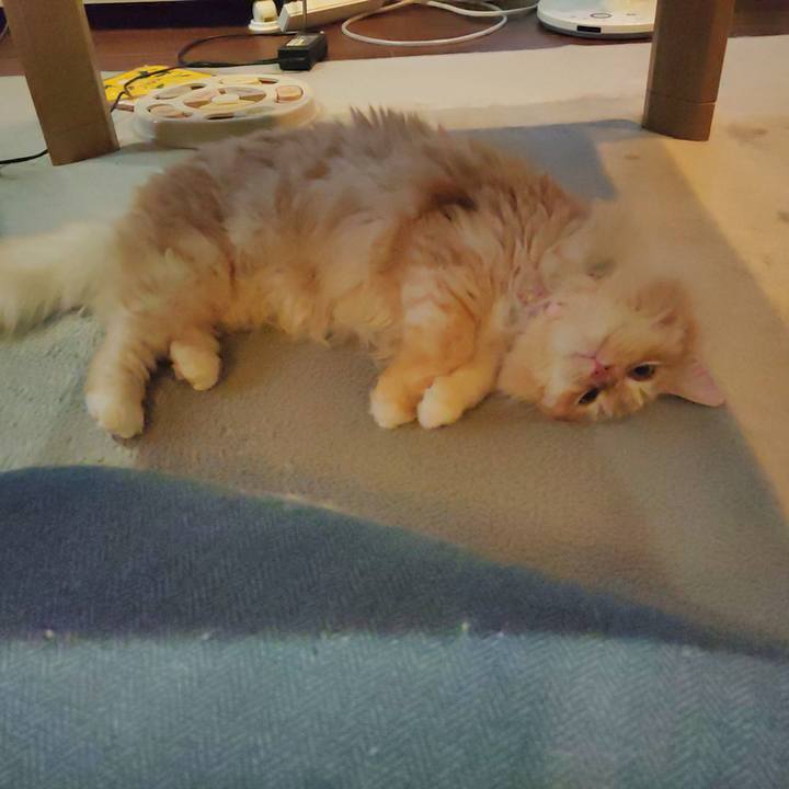 D12b847e f5aa 4a94 b2b5 b586a7c2b689 1683365286117