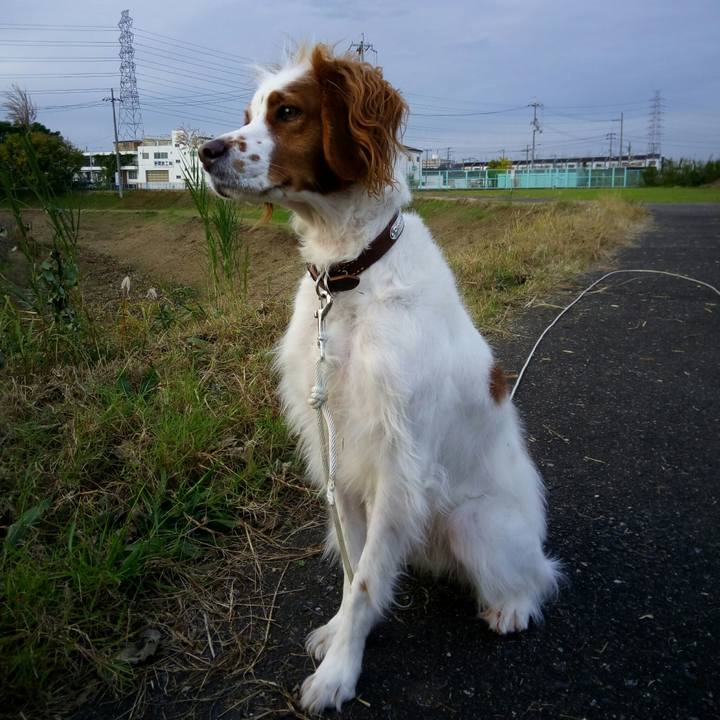 D12b88e7 d6e3 4c62 bf1f 95c17ed06efe 1511338459442