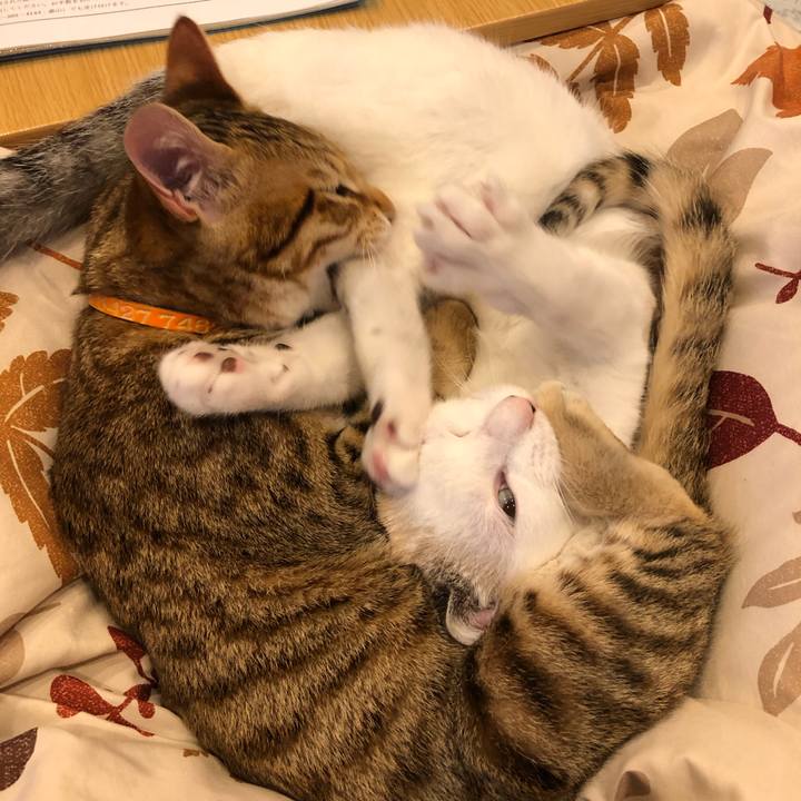 D12b9579 0c83 4d0f 9454 4fe316f4d4f7 1549850084764