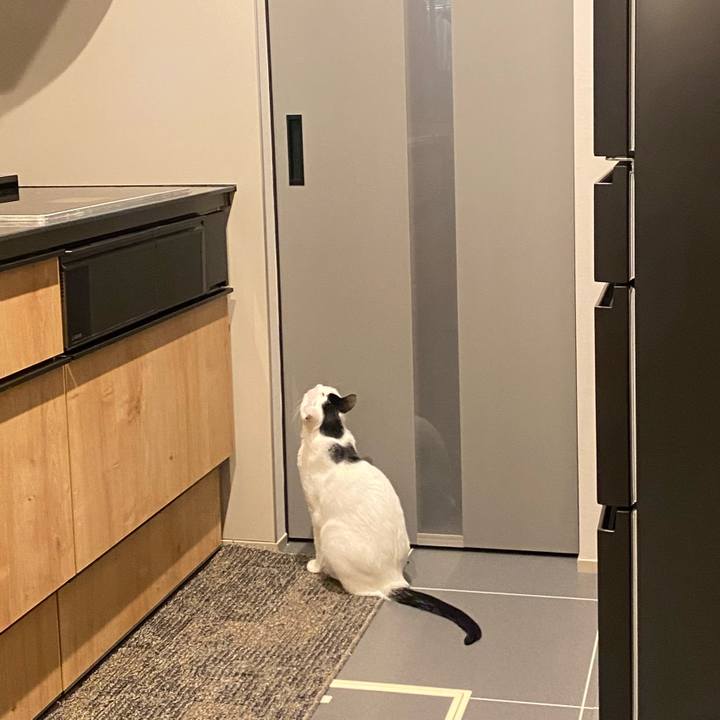 D12b95b7 daeb 408f 9b65 9e58c9a2f2eb 1746789863990