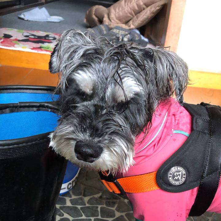 D12b9e2d 8fd3 4cc1 aff4 94b95fa663ad 1703323749797