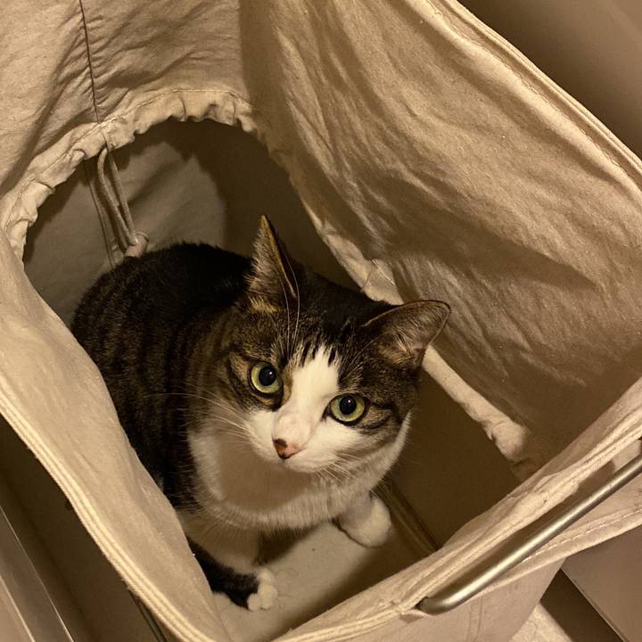 D12ba072 7c3f 46d3 b213 12ca90bd0c17 1662512660093