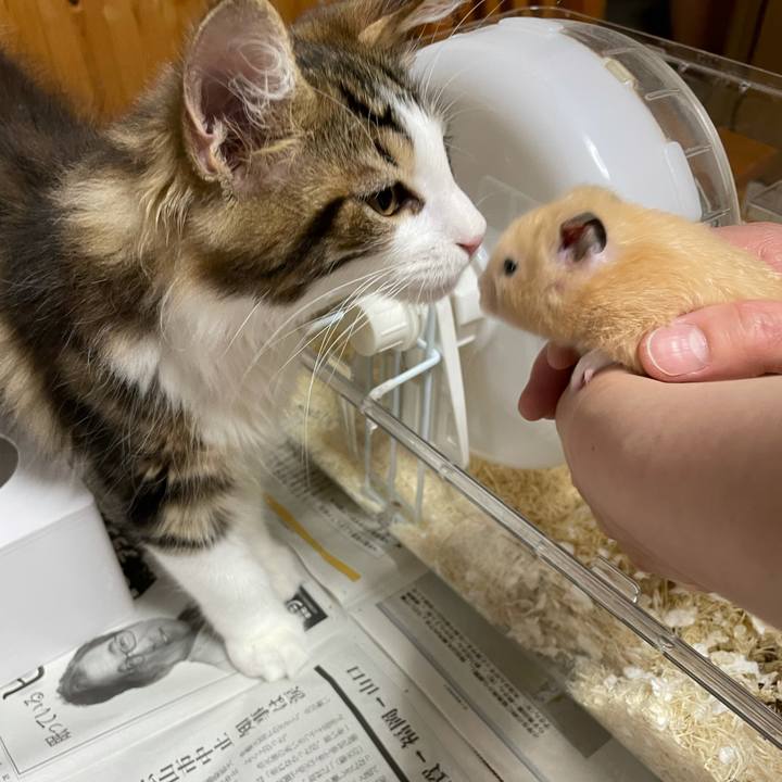 D12bc231 bee3 4c7a af04 dc9290c7e9a0 1633436016826