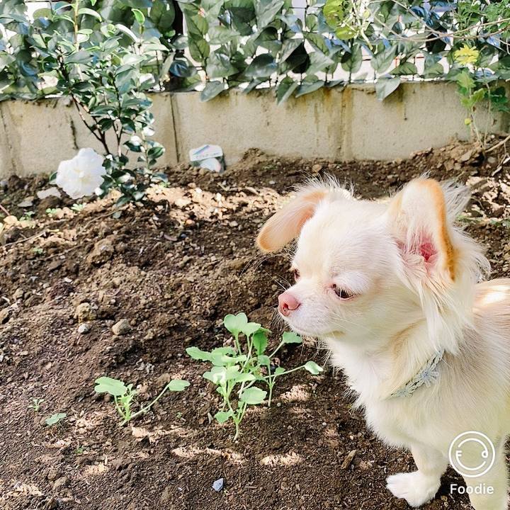 D12bf74b 3979 4e1a 9e78 1593276d8cf6 1607053037503