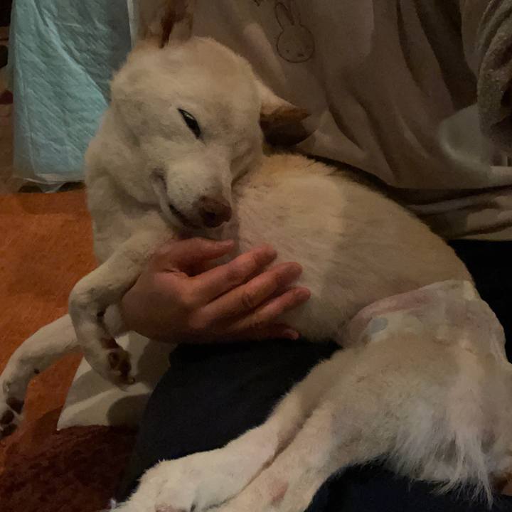 D12c12ec 1a05 4684 96b4 2809de6b1baf 1674470800358