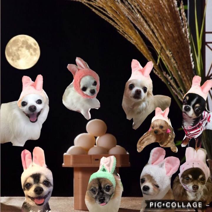 D12c363d 435b 4ee2 8e8f ef270afe4e0f 1537973150709