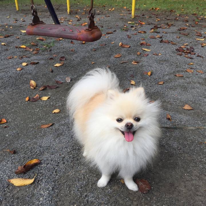 D12c5375 aff1 44c3 83a5 fc2787f330ed 1537076504475