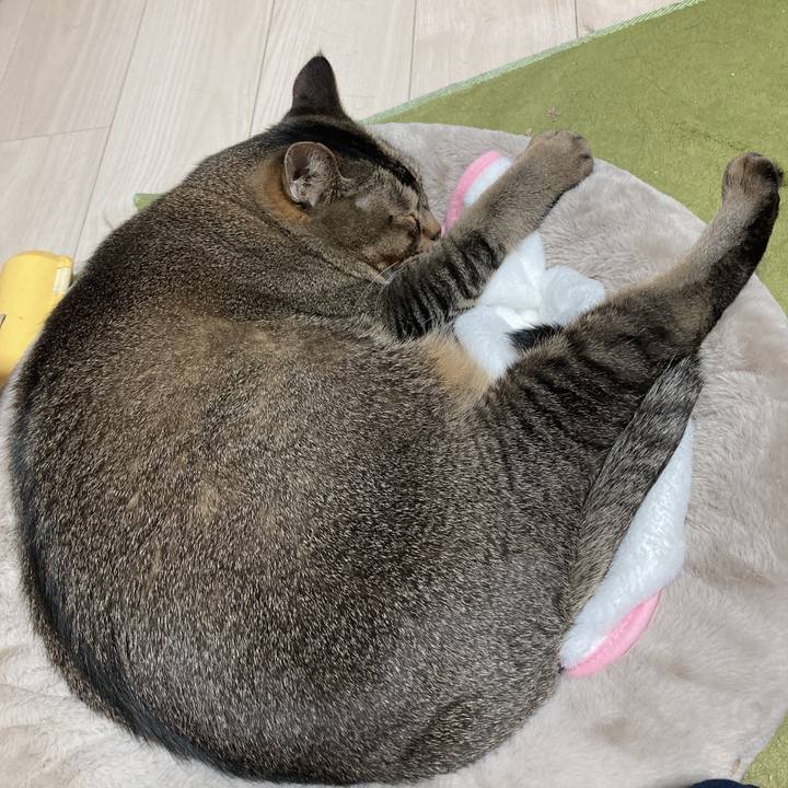 D12c754e 77c0 4c3d aa9e 8a934b40556b 1665672359283