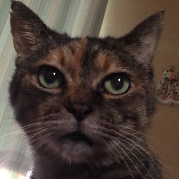 D12c7783 17d0 497c 9336 0e0967f48448 1620515202332