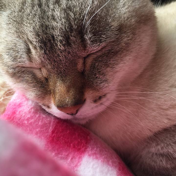 D12c7ab0 8e95 434e 8705 69e6a336184d 1514809432441