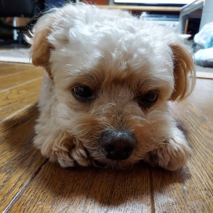 D12cb084 e7e8 454e 8e6d 0ed0f7a0da47 1629963099098