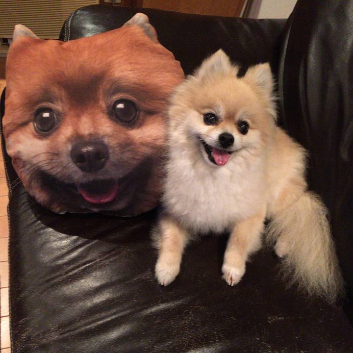 D12cc3e6 5ba8 45f5 b439 4e7ede1a8e53 1565267185786