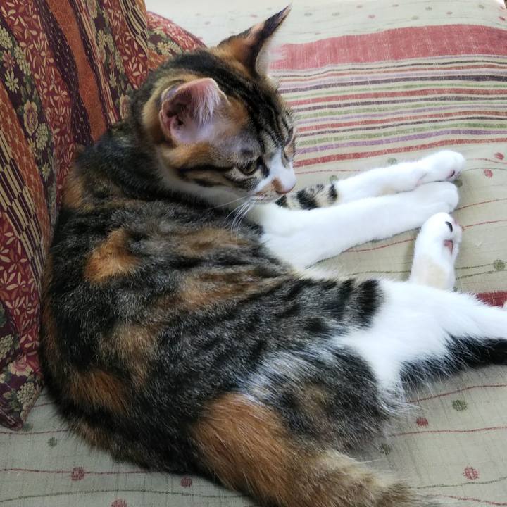 D12cecd5 6d79 4771 8c04 8e2da0ea469a 1633664038517