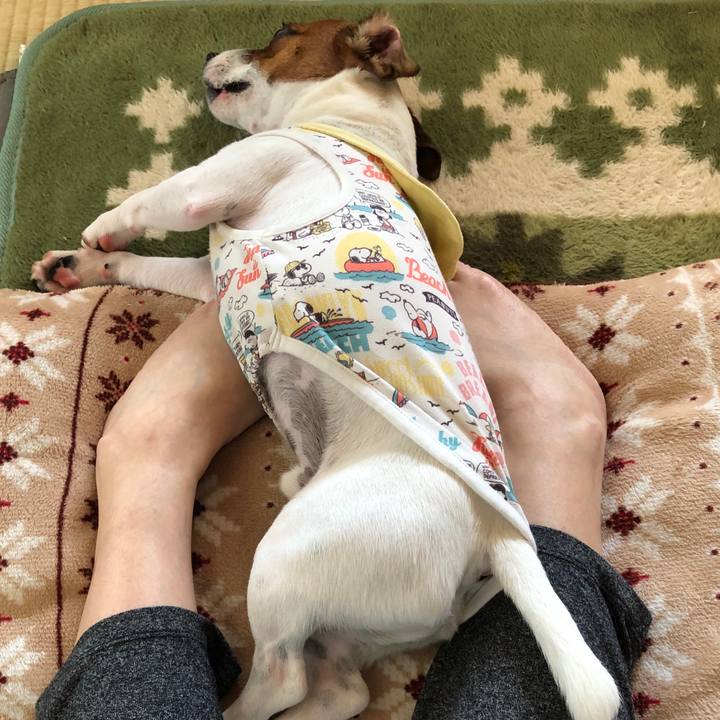 D12cf3cf aa9c 46bd 865e 53bcc93a99cb 1564616804429