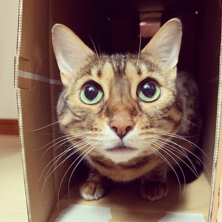 D12d4d69 537a 4a12 8854 df57945cebd0 1594250064997