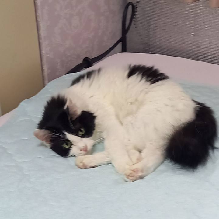 D12d698a 1ada 4c61 ad1b 12682b398266 1629950125839