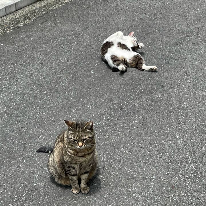 D12d8c7f f24a 49d2 ae94 a24dd8d32958 1622243915822