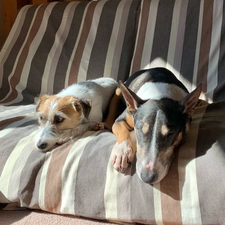 D12d9011 a496 48a2 958e 1b22e68ed3a7 1605230122452