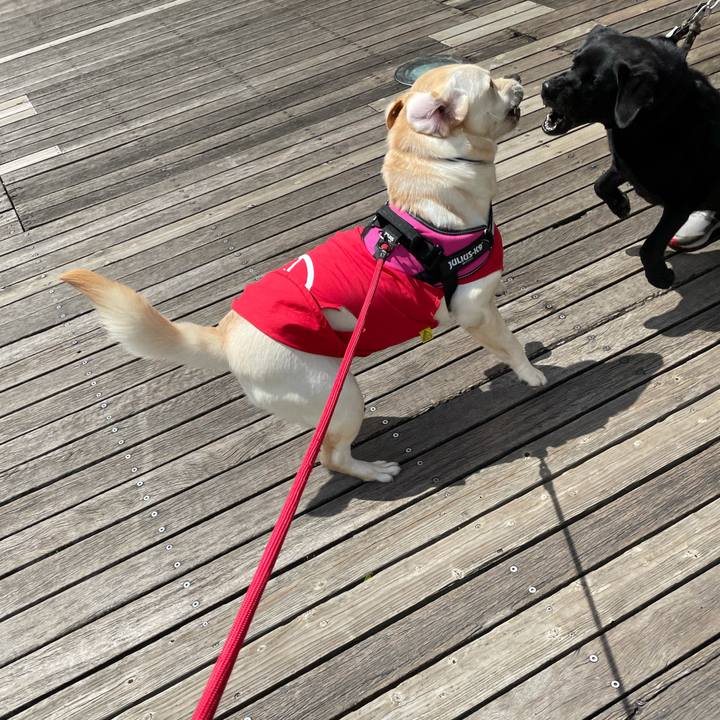 D12db1da 1090 4709 88d7 d49d42fcc454 1629349170659