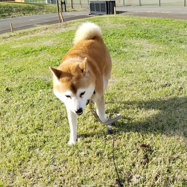 D12dba69 4553 4ed5 b7cb 10cdf8bc1254 1635400073677