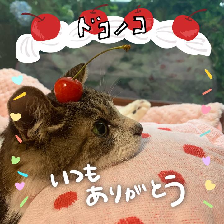 D12dc533 afd4 4797 b56a c40038d72994 1685933158434