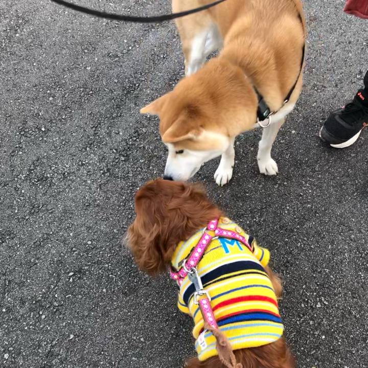 D12df33e 1b52 4637 9c20 bc8ad6ed7a27 1641688724723