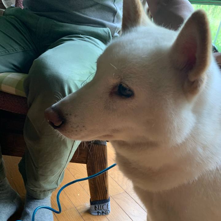 D12e2497 a2ca 41fc 829c 5a303c44b79f 1595130884318