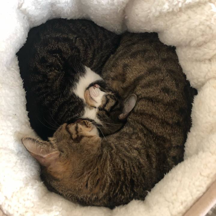 D12e81f3 586e 45b0 aabb 6fb314a45402 1582143998592