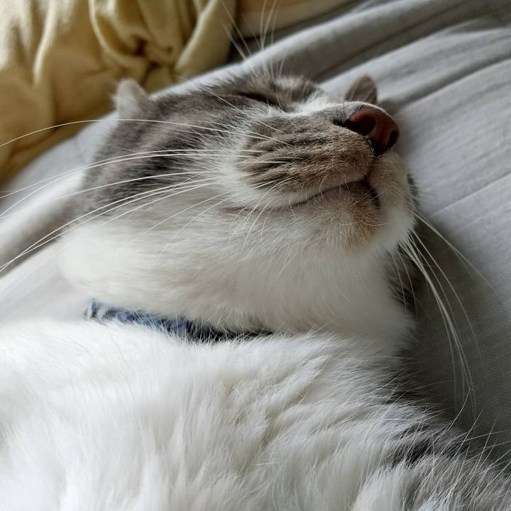 D12eb406 9838 4de7 9ab4 7abeb1de0c8b 1598488250689