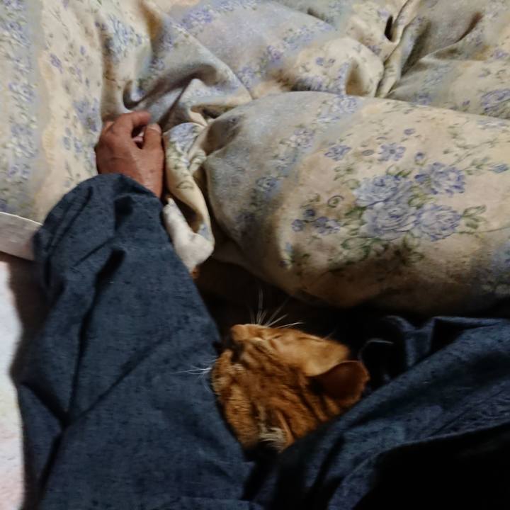 D12eef63 b8ac 42db 9371 b547936f715e 1661724029673