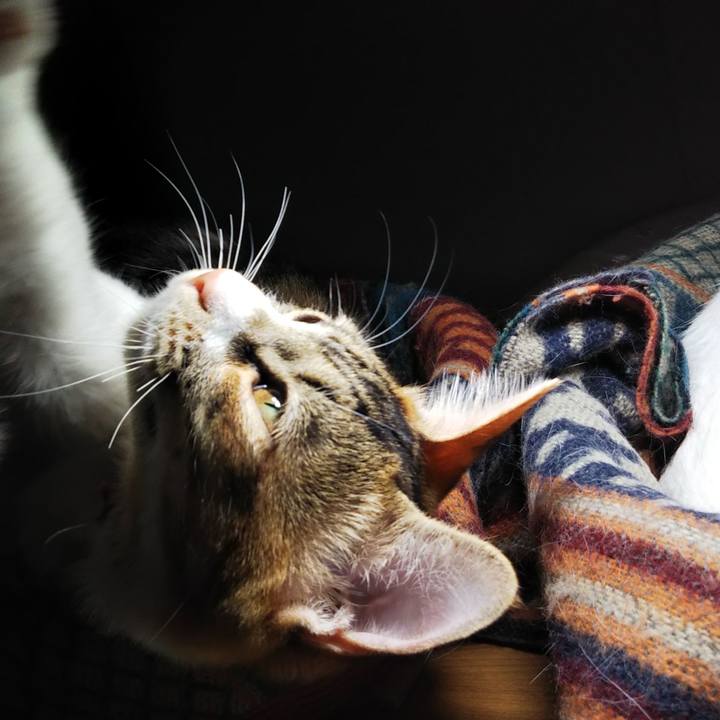 D12f0391 600d 4fb1 99d3 16bdd5ab3272 1638020049637