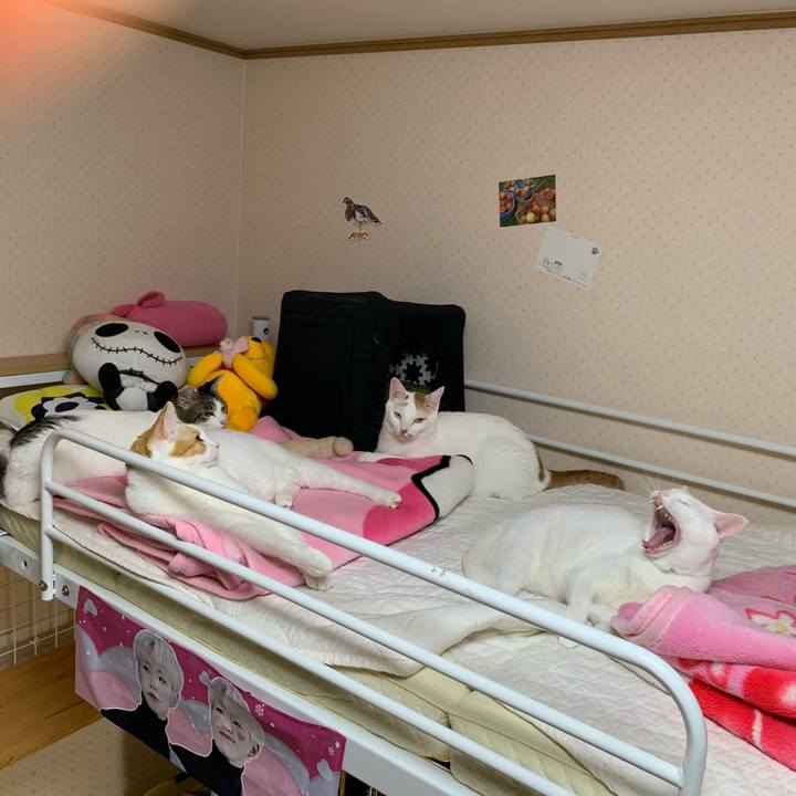 D12f2164 6db3 4d32 bcec 20f15c523574 1602285385298