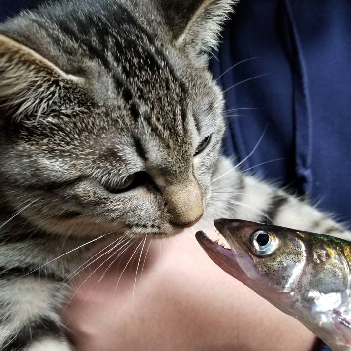 D12f34d1 e490 45e2 a6a0 572111b1131a 1673618745672