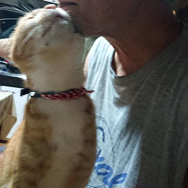 D12f35f4 ff58 41ac 87f8 2b68f282931d 1597523073279