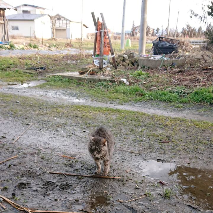 D12f428f de71 45f3 973a e31a124a9485 1580626892057