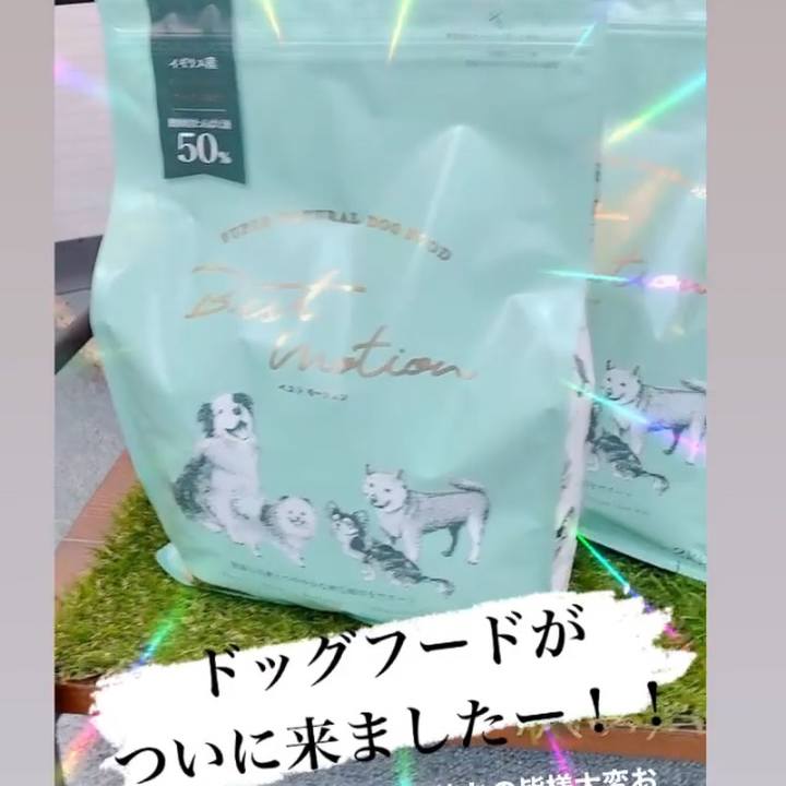 D12f4866 3333 4dff a2cc a0ef1bdca999 1646343765687