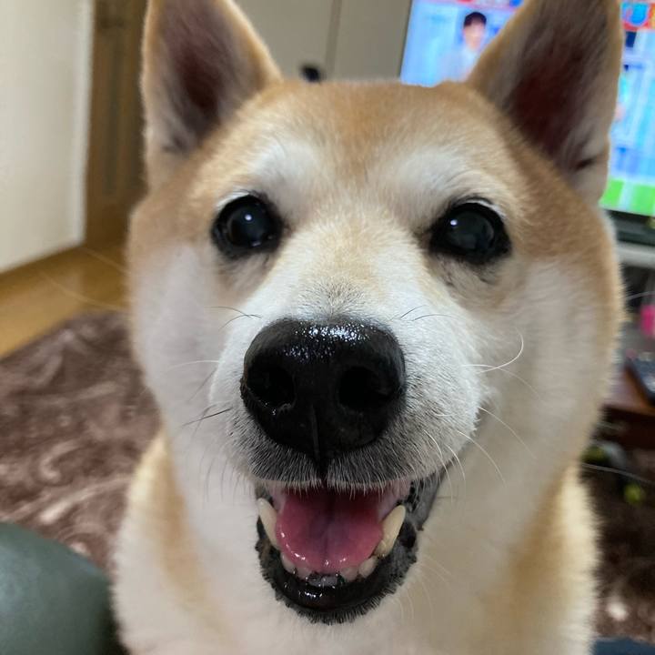 D12f80e2 1794 4cec 8f54 ad690c27cbeb 1617021220045