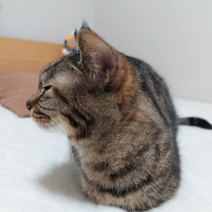 D12f868f d4fb 4a62 8492 0fd494522c8d 1650317532038