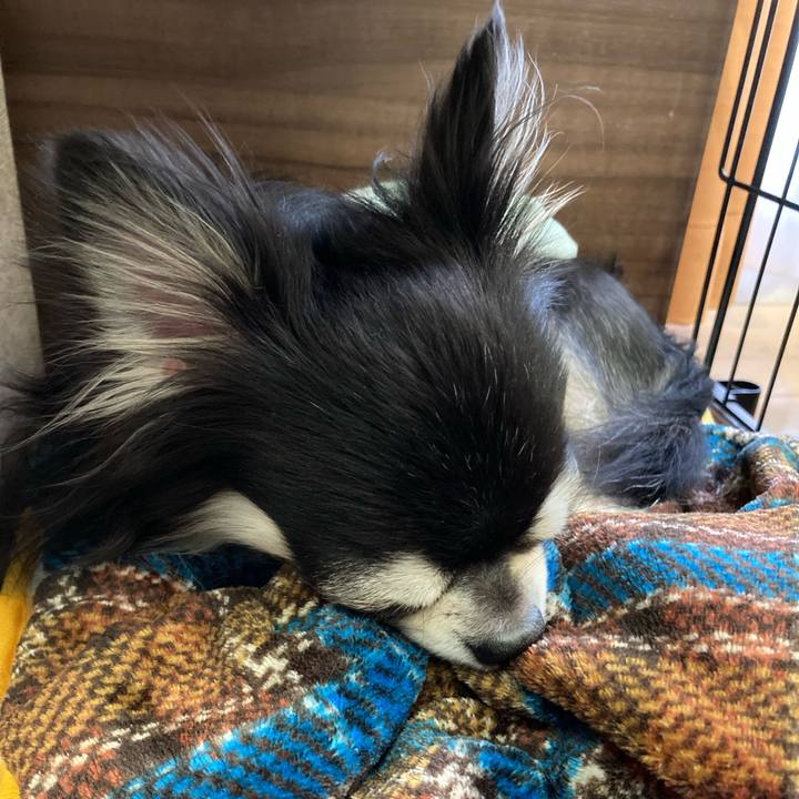 D12ff842 fd87 490a 9587 f7cafcaa2442 1668264117480