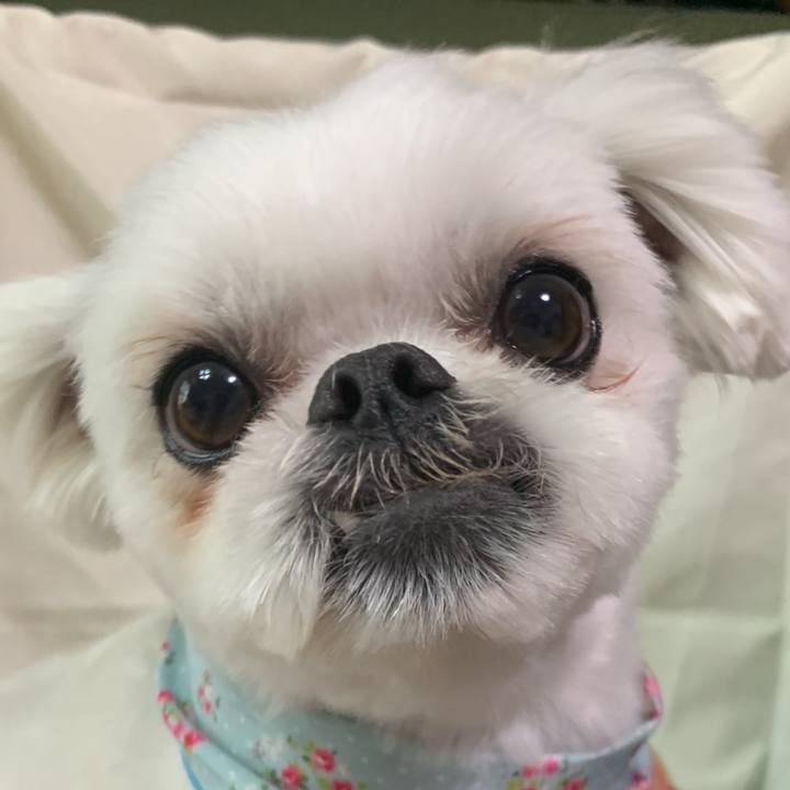 D1301bbf 1ea3 43ff af27 d26fd90ce05c 1708517020150