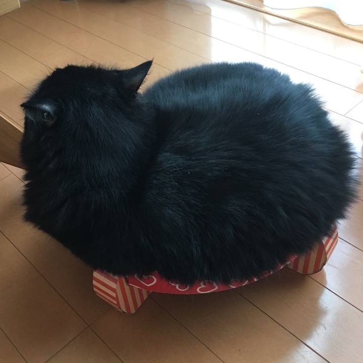 D130241d a820 410f b70f e9e5f20f47b0 1538087983834