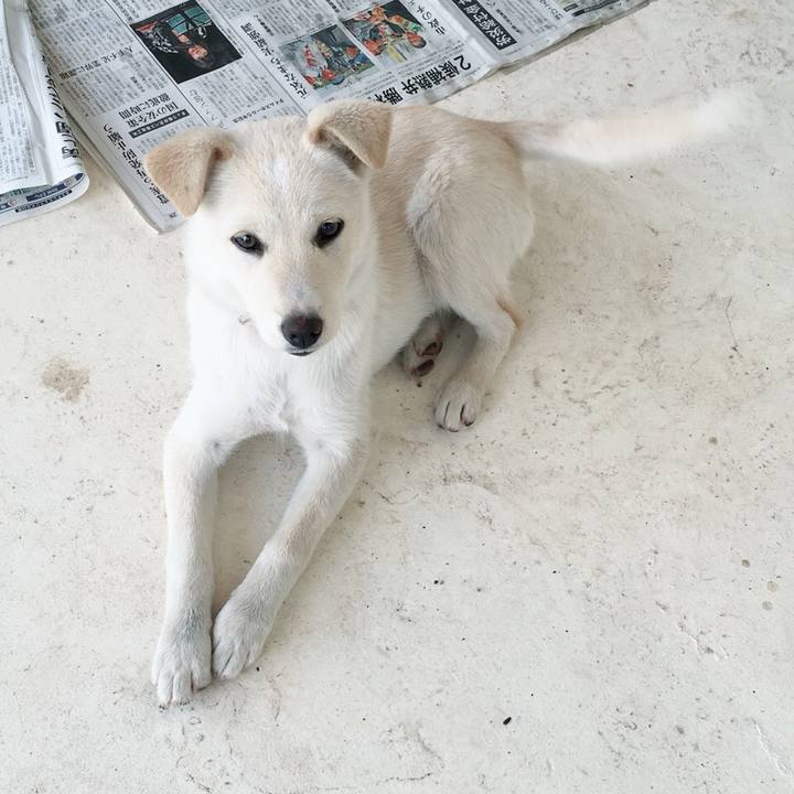 D1302935 e512 4e3a a78c a4c5a6555bb9 1518226122239